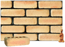 Golden Cream Color Cobble Brick with Shade