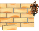 Golden Cream Color Smooth Face Brick with Sunset Clinker Shade