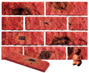 Super Red Color Rockface Sandblast Sliced Brick Veneer with Shade
