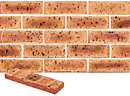 Super Red Color Smoothface Brick Veneer with Shade