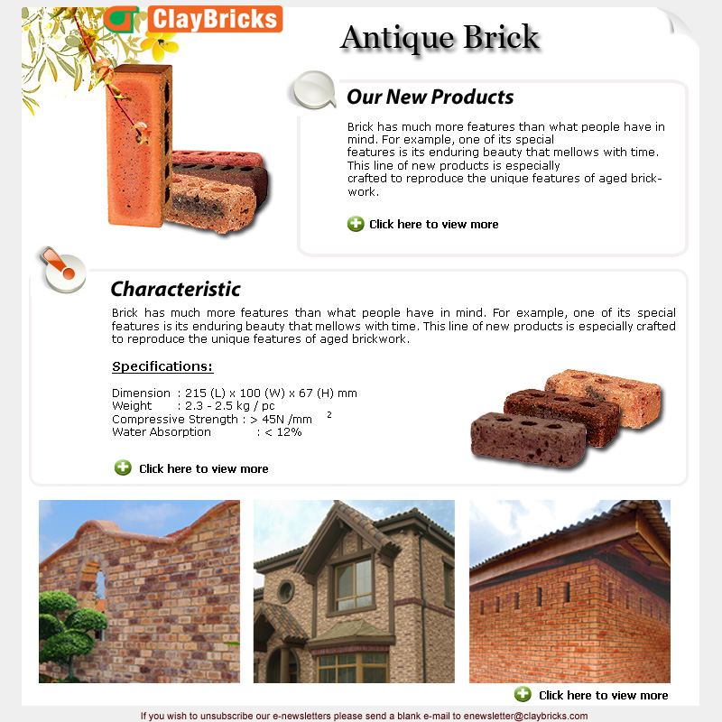 E-newsletter Issue 6 - Antique Bricks