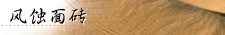 Clay bricks, veneers, pavers panel displays