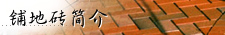 Burnt Clay Brick Products