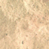 Golden Cream