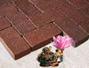 Golden Cream Color Rockface Brick with Shade