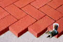 Super Red Color Sandblast Paver