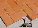 Golden Peach Color Wirecut Paver