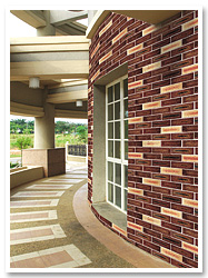 Brick Veneers