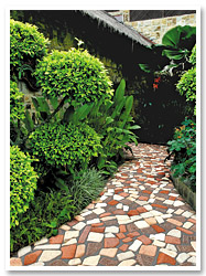 Garden & Landscape