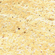Golden Cream