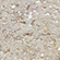 Granite